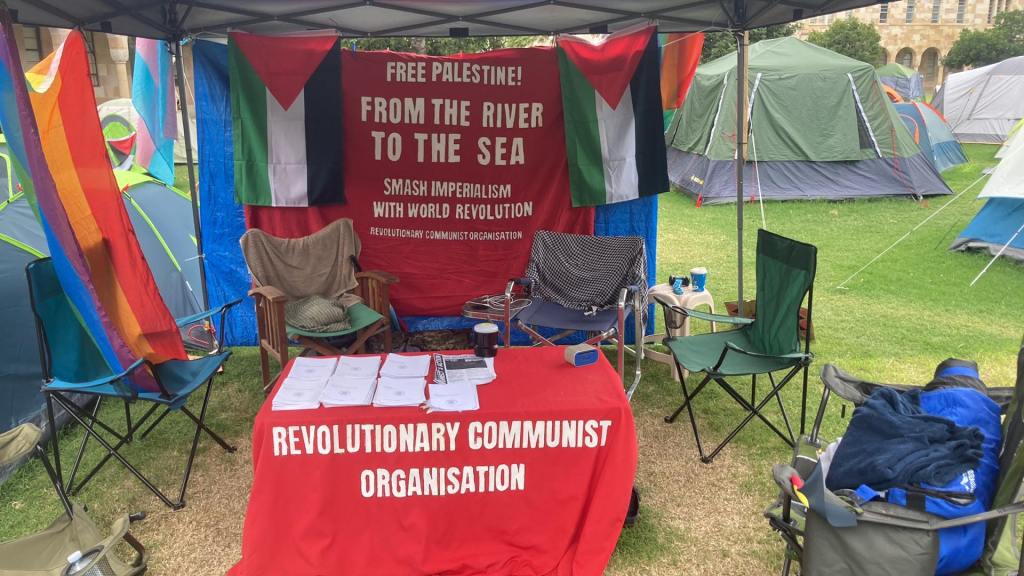 Palestine protests in review: taking stock of the&nbsp;movement